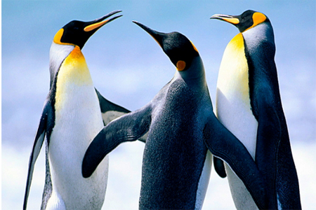 数据库转换工具(sqlitetomysql)